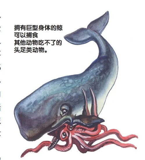 生存的桎梏與進(jìn)化的鑰匙 環(huán)境如何塑造生命形態(tài)