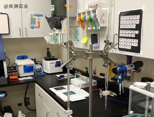 oem odm進(jìn)口食品貼牌代工生產(chǎn) 央洲實(shí)業(yè)