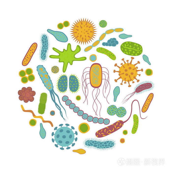 白色背景上的微生物王國 細(xì)菌與微生物圖標(biāo)的視覺分離與科學(xué)啟示